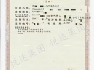 电子与智能化资质